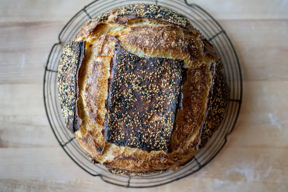 Sourdough Bread with All-Purpose Flour
