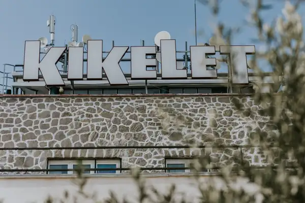 Grandma's reimagined pumpkin stew and Mecsek tartar – Zoltán Teleky talked about the first months of Kikelet