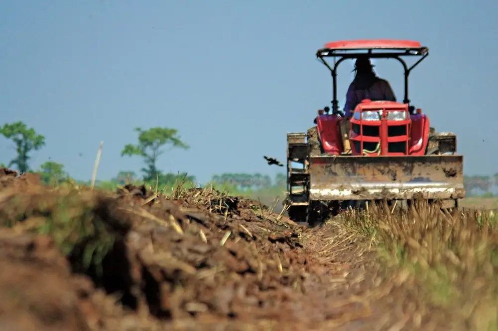 «Los agricultores que no se informen sobre las nuevas tecnologías agrícolas se quedarán atrás», afirma Kip Tom, de Tom Farms
