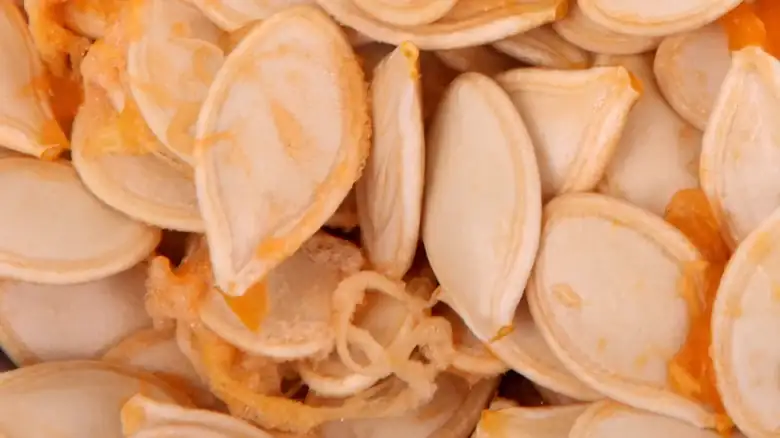 The Pumpkin Seed Alternative You Should Be Roasting Next