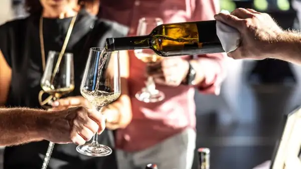 ¿Qué es la fermentación maloláctica en la elaboración del vino?