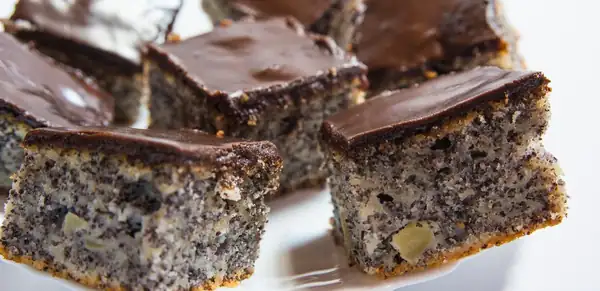 Poppy seed cake in pots: an old recipe that never disappoints
