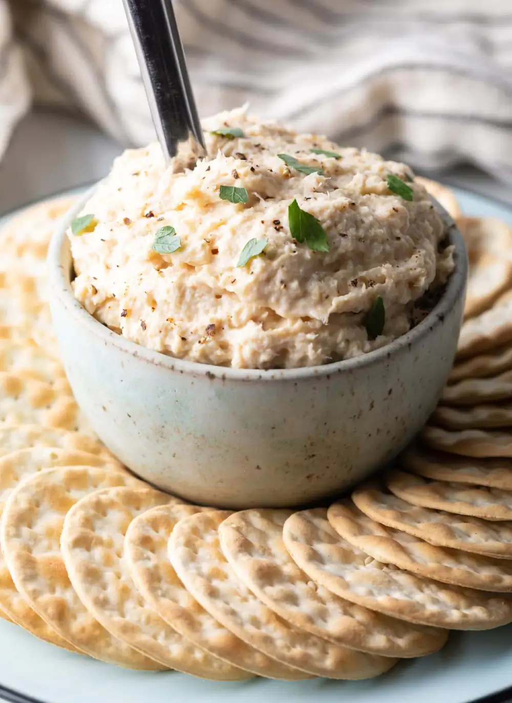 Florida-Style Smoked Fish Dip Recipe