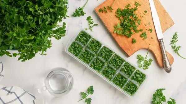 Freeze Your Fresh Herbs In An Ice Cube Tray For Ultimate Freshness