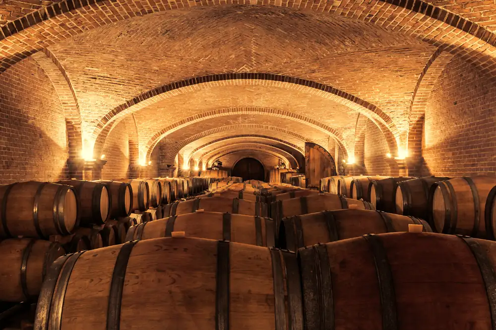 Has the wine tourist already forgotten your cellar? It's YOUR fault!