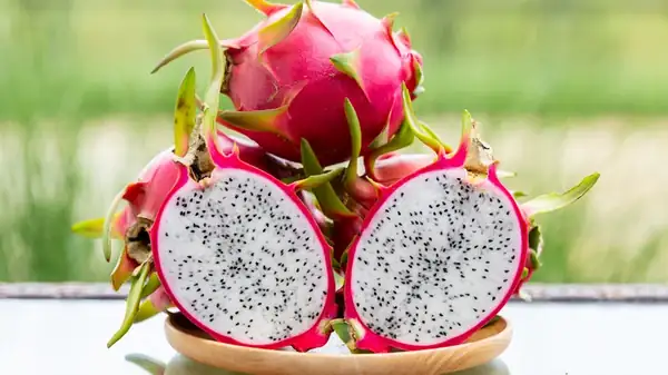 ¿Cuál es la diferencia entre la pitahaya y la fruta del dragón?