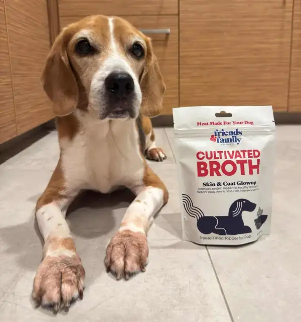 Friends & Family añade caldos de codorniz cultivada a su línea de alimentos para mascotas en Singapur