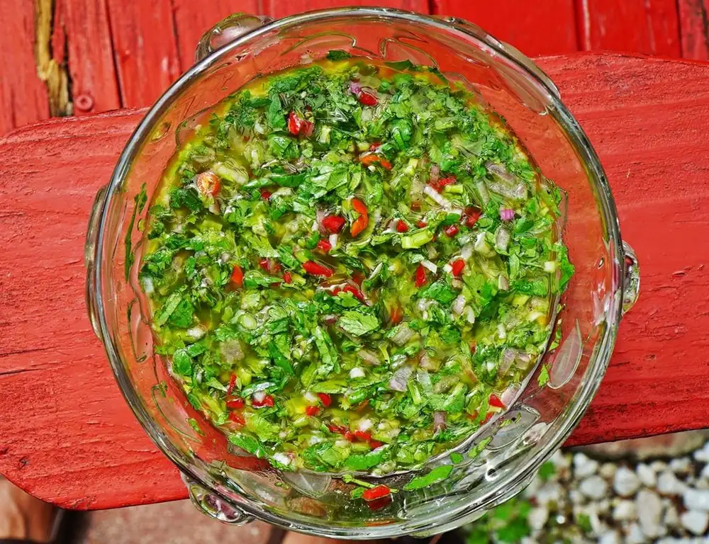 Quick and Easy Cilantro Chimichurri Recipe