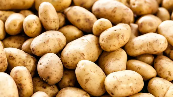 Arabia Saudita logra la autosuficiencia en papas, expande los envíos de papas congeladas y la industria procesadora