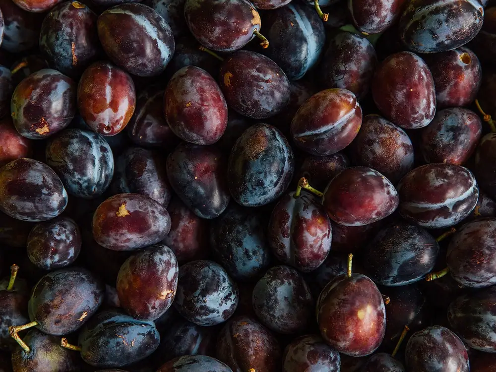 This Orcas Island Jam Company Transforms Local Plums into Vibrant Seasonal Preserves