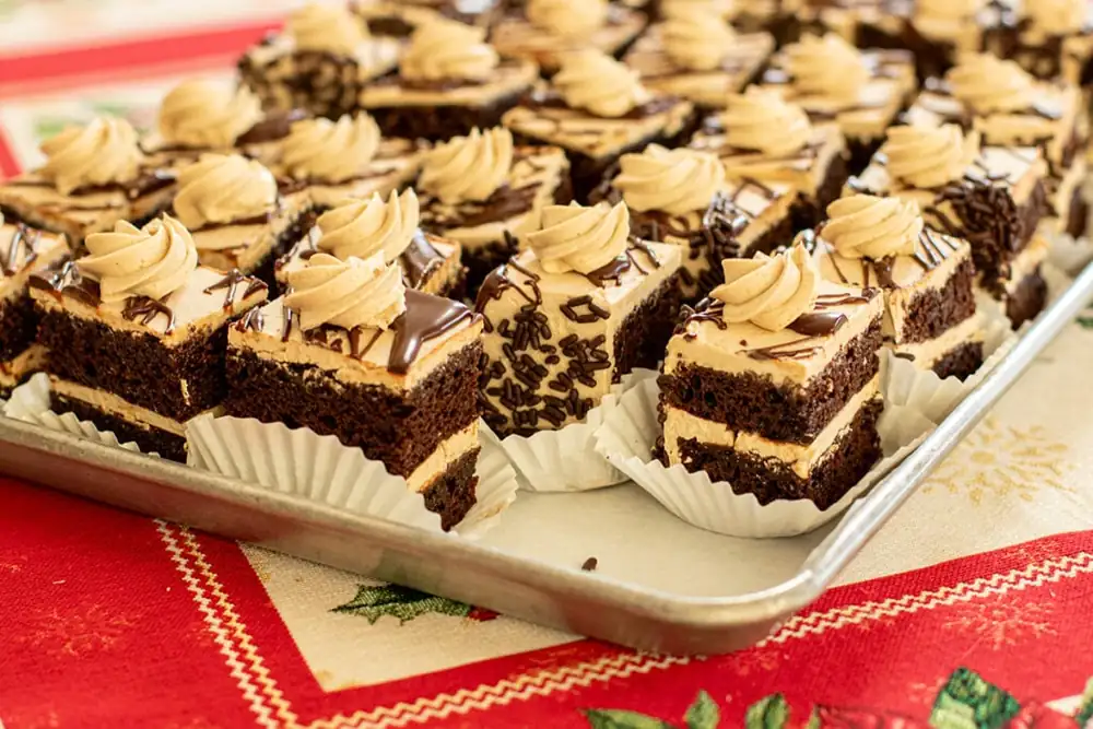 Chocolate Mocha Cake Slices (A Make-Ahead Party Favorite)