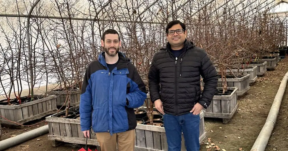 Antifreeze for orchards? CryoBio nets $1.3m to develop novel approach to frost protection
