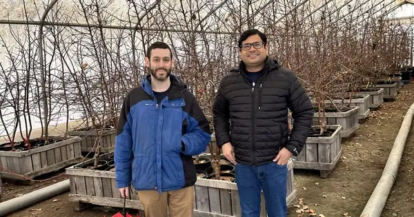 Antifreeze for orchards? CryoBio nets $1.3m to develop novel approach to frost protection