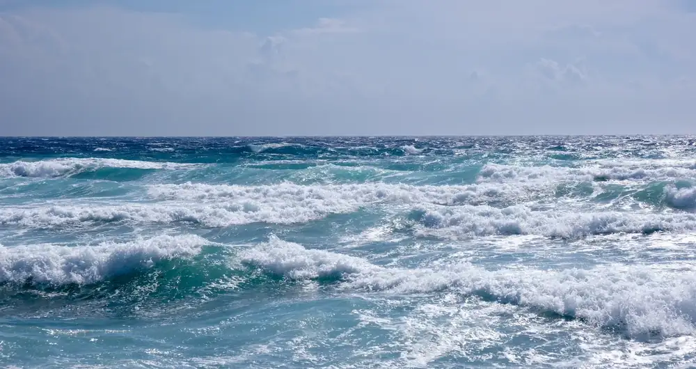 El fenómeno de El Niño afecta la producción de ingredientes marinos de Perú y Chile