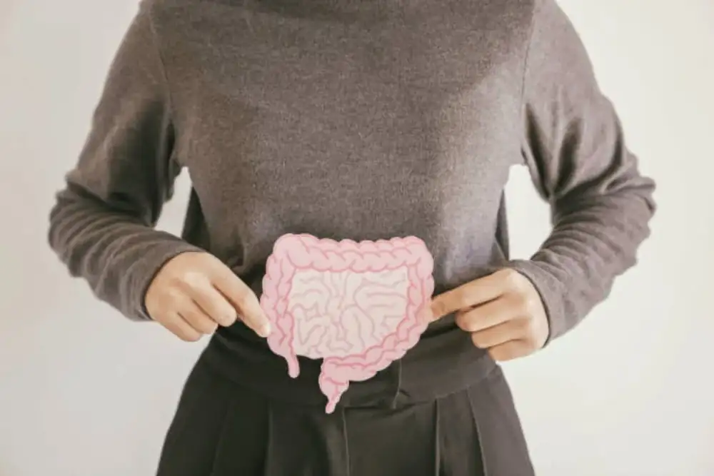 The Microbiota: The Body's Second Brain. We'll tell you which foods and natural drinks will help you take care of it