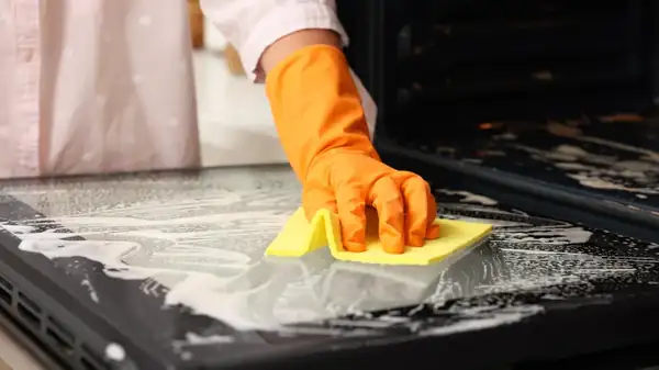 Everything You Need To Clean An Oven Door Is In Your Pantry
