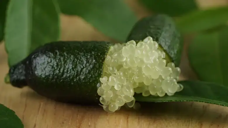 What makes finger limes the caviar of citrus fruits?