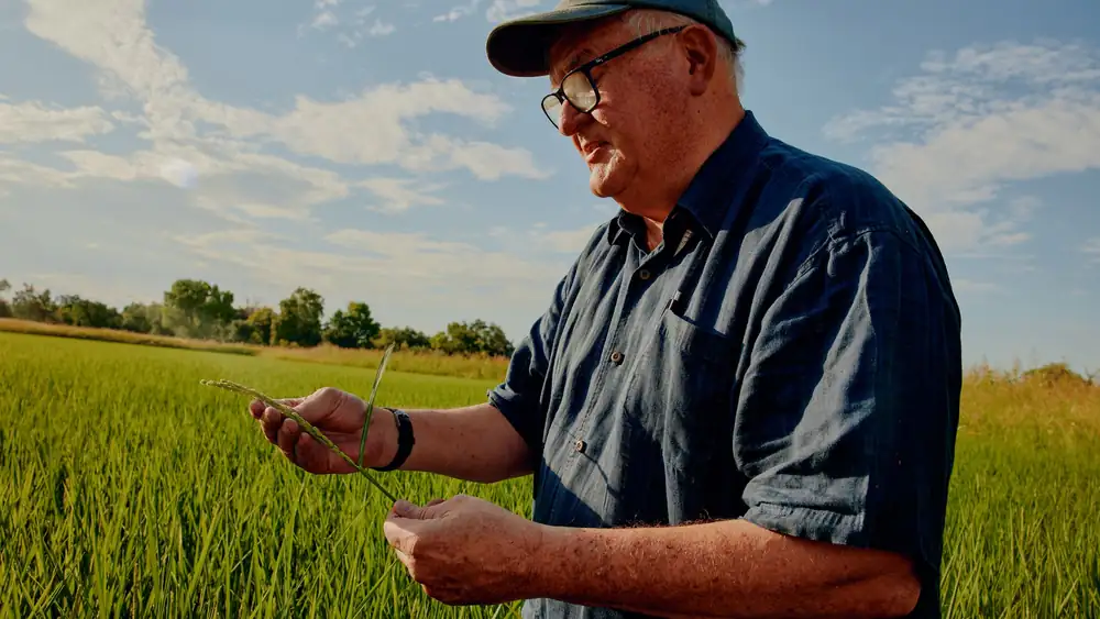 A Good Chef Knows Everything Starts With Rice—That’s Why They Choose Lundberg
