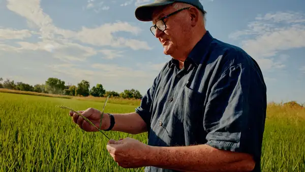 A Good Chef Knows Everything Starts With Rice—That’s Why They Choose Lundberg