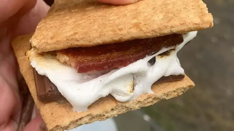 Nadie puede impedirte ponerle tocino a tus s'mores