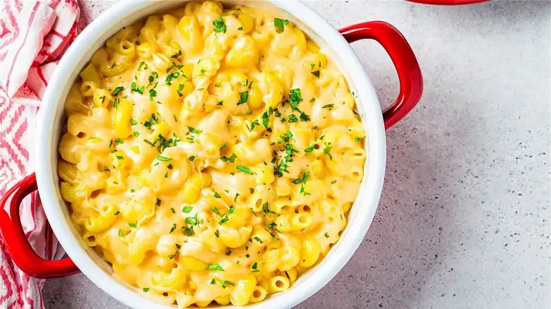 The Unique Pasta Shape To Shake Up Your Next Pot Of Mac And Cheese