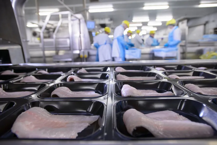 Cultivated protein’s next phase? Integration over invention
