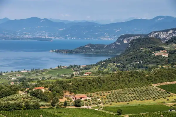 Chiaretto Lounge in Lazise: a dive into Bardolino rosés
