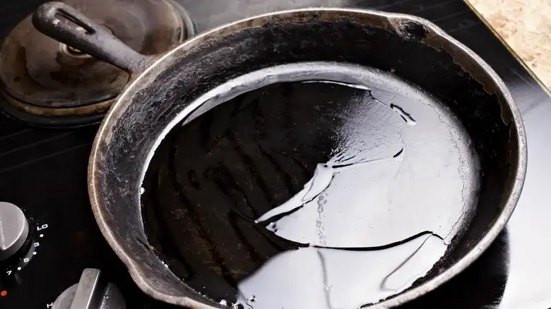 Can Polished Cast Iron Skillets Be Seasoned?