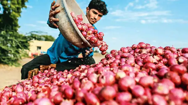 Onion prices soar in Hyderabad as supplies fall